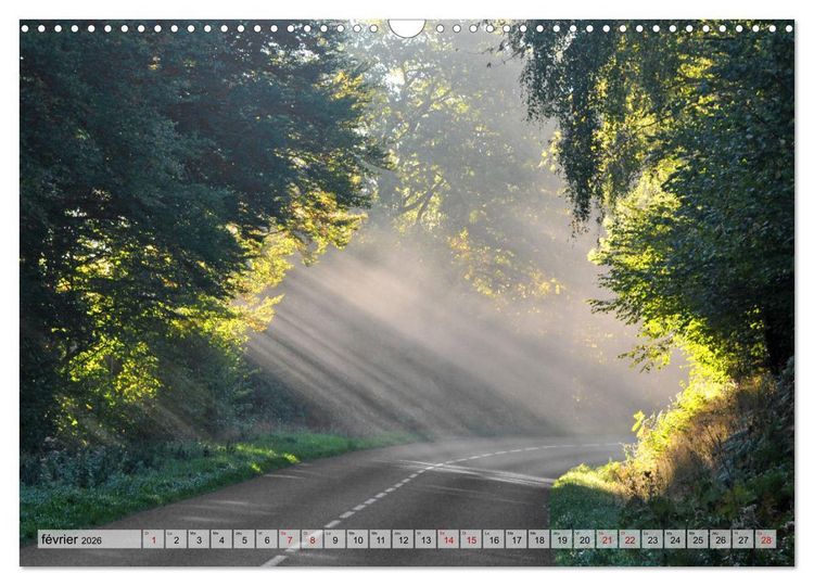 Produktbild: Au c&oelig;ur de la for&ecirc;t (Calendrier mural 2026 DIN A3 vertical), CALVENDO calendrier mensuel
