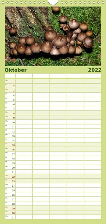 Produktbild: Familienplaner Pilze, Pilze (Wandkalender 2022 , 21 cm x 45 cm, hoch)
