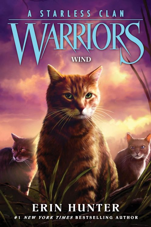 Produktbild: Warriors: A Starless Clan 05: Wind