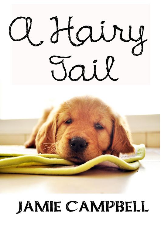 Produktbild: A Hairy Tail