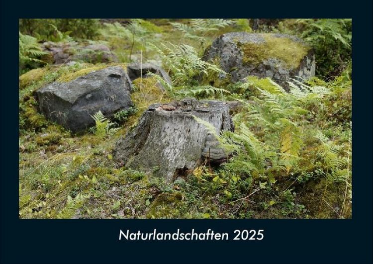 Produktbild: Naturlandschaften 2025 Fotokalender DIN A4