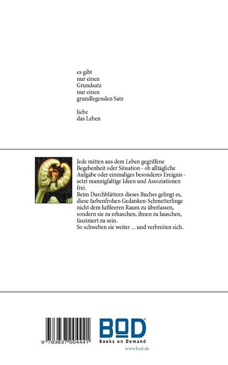 Produktbild: Bunt gefrorene Schmetterlinge