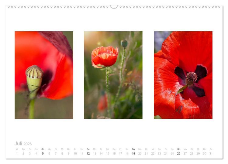 Produktbild: Blumen Trilogien (Wandkalender 2026 DIN A2 quer), CALVENDO Monatskalender