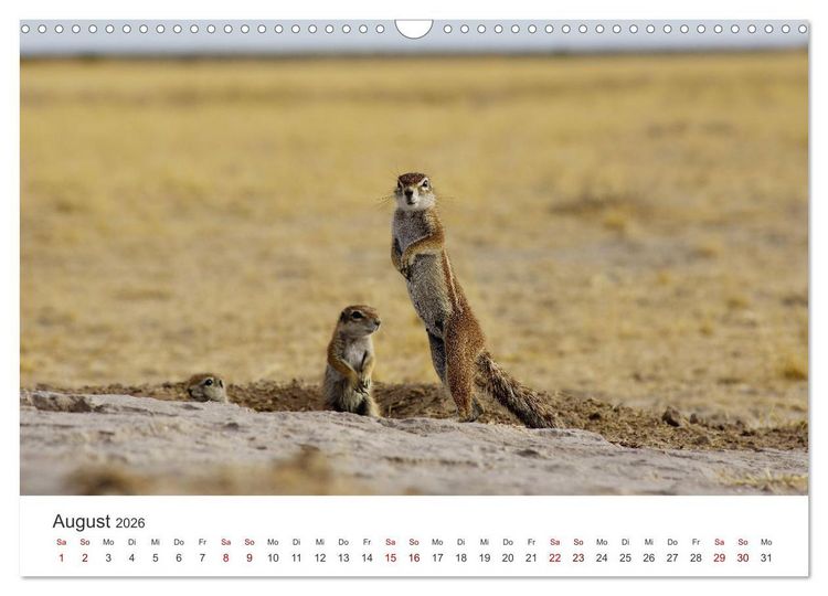 Produktbild: Botswana - Eine spannende Reise in ein wundersch&ouml;nes Land. (Wandkalender 2026 DIN A3 quer), CALVENDO Monatskalender