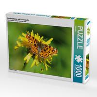 Produktbild: CALVENDO Puzzle Landk&auml;rtchen auf L&ouml;wenzahn 1000 Teile Lege-Gr&ouml;&szlig;e 64 x 48 cm Foto-Puzzle Bild von Kattobello