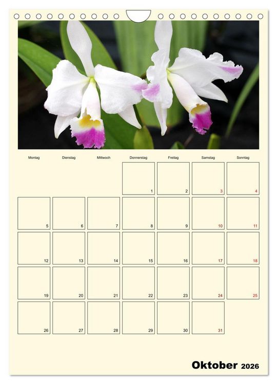 Produktbild: Orchideentr&auml;ume (Wandkalender 2026 DIN A4 hoch), CALVENDO Monatskalender