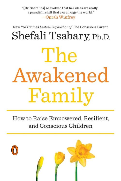Produktbild: The Awakened Family