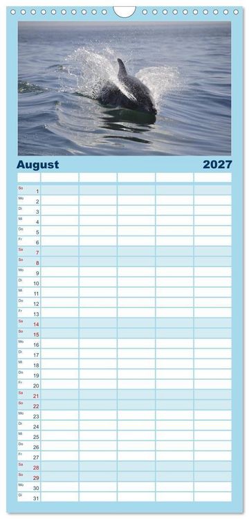 Produktbild: Familienplaner 2027 - Delfine und Wale mit 5 Spalten (Wandkalender, 21 x 45 cm) CALVENDO