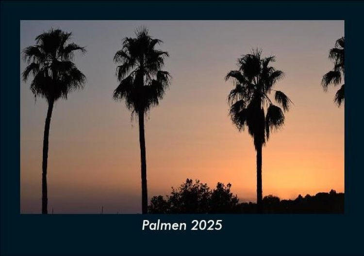 Produktbild: Palmen 2025 Fotokalender DIN A5