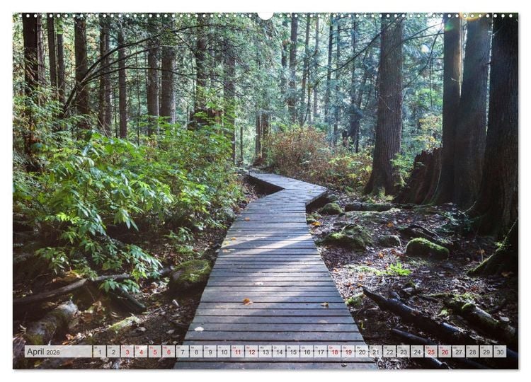 Produktbild: W&auml;lder der Welt (Wandkalender 2026 DIN A2 quer), CALVENDO Monatskalender