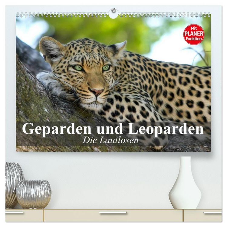 Produktbild: Die Lautlosen. Geparden und Leoparden (hochwertiger Premium Wandkalender 2026 DIN A2 quer), Kunstdruck in Hochglanz