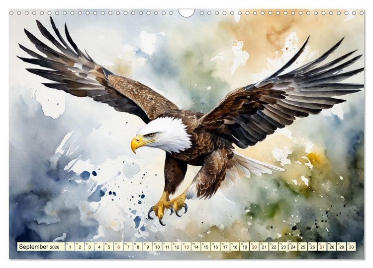 Produktbild: Wei&szlig;kopfseeadler - Majest&auml;tische V&ouml;gel (Wandkalender 2026 DIN A3 quer), CALVENDO Monatskalender