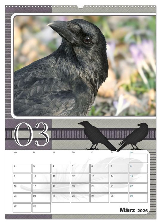 Produktbild: Kr&auml;hen - Clever notiert! Mit K&ouml;pfchen durchs ganze Jahr (Wandkalender 2026 DIN A2 hoch), CALVENDO Monatskalender
