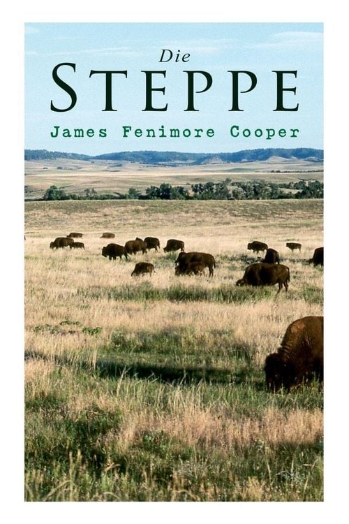 Produktbild: Die Steppe