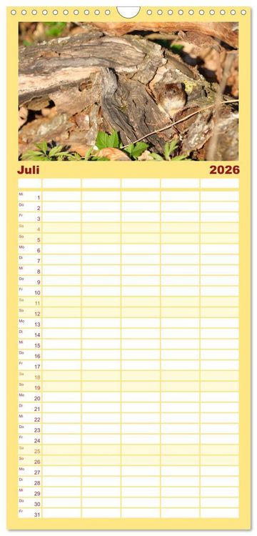 Produktbild: Familienplaner 2026 - Die R&ouml;telmaus - neugierig und verfressen mit 5 Spalten (Wandkalender, 21 x 45 cm) CALVENDO