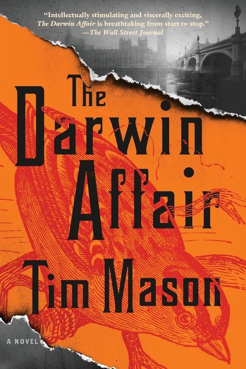 Produktbild: The Darwin Affair