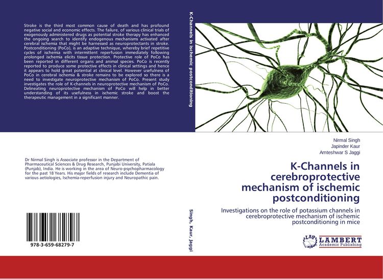 Produktbild: K-Channels in cerebroprotective mechanism of ischemic postconditioning