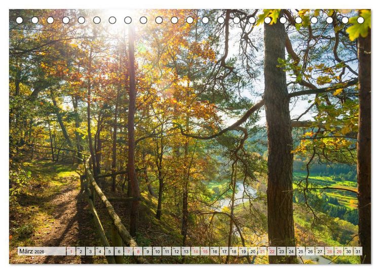 Produktbild: M&auml;rchenwald W&uuml;nschendorf an der Elster in Th&uuml;rigen (Tischkalender 2026 DIN A5 quer), CALVENDO Monatskalender