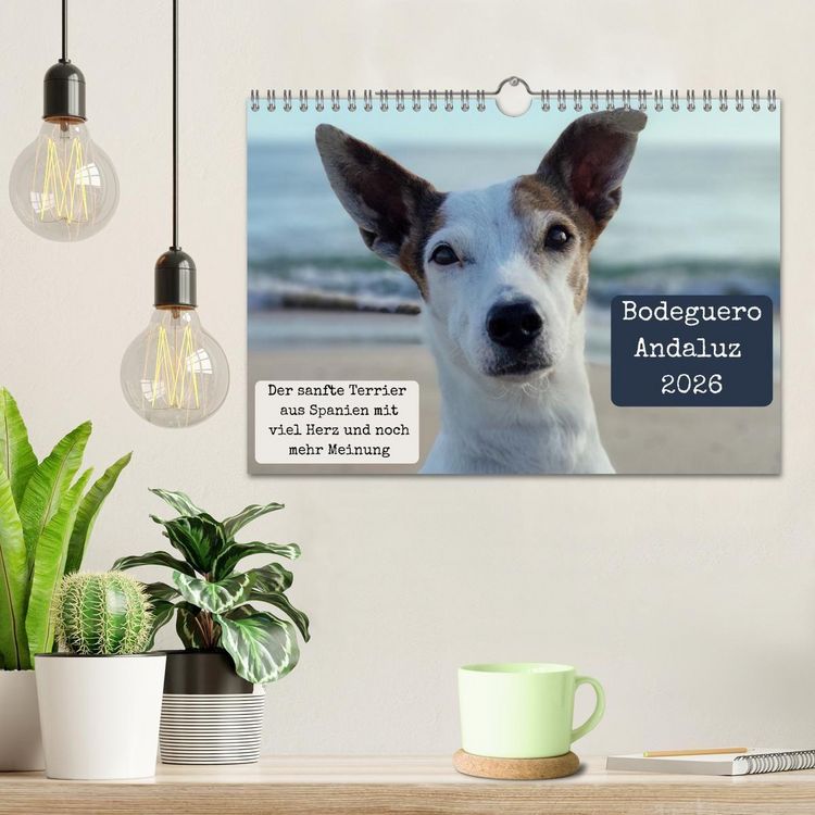 Produktbild: Ratonero Bodeguero Andaluz (Wandkalender 2026 DIN A4 quer), CALVENDO Monatskalender