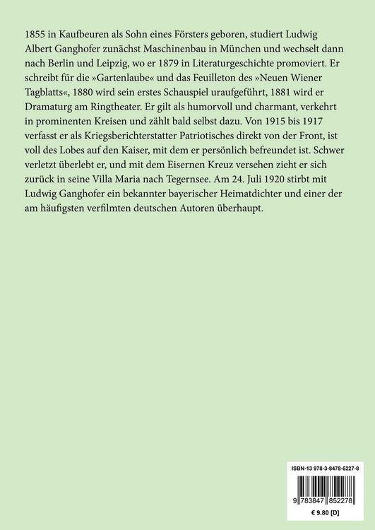 Produktbild: Fliegender Sommer (Gro&szlig;druck)