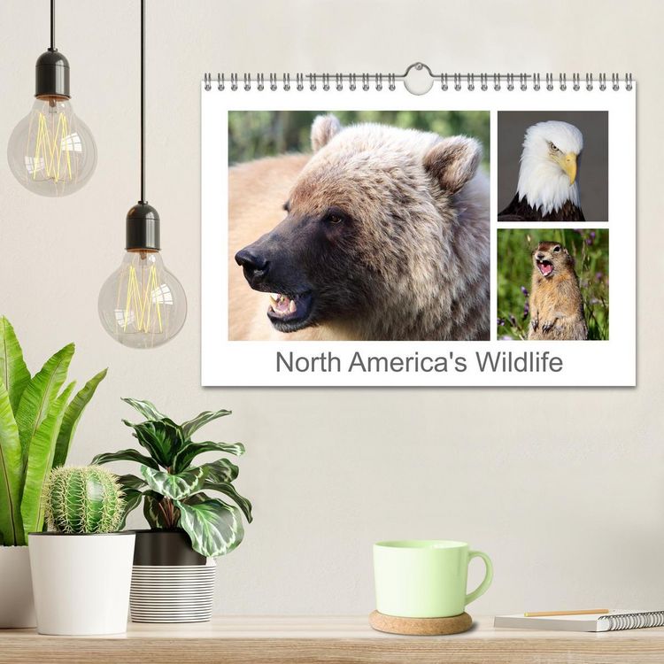 Produktbild: North America's Wildlife (Wall Calendar 2026 DIN A4 landscape), CALVENDO 12 Month Wall Calendar
