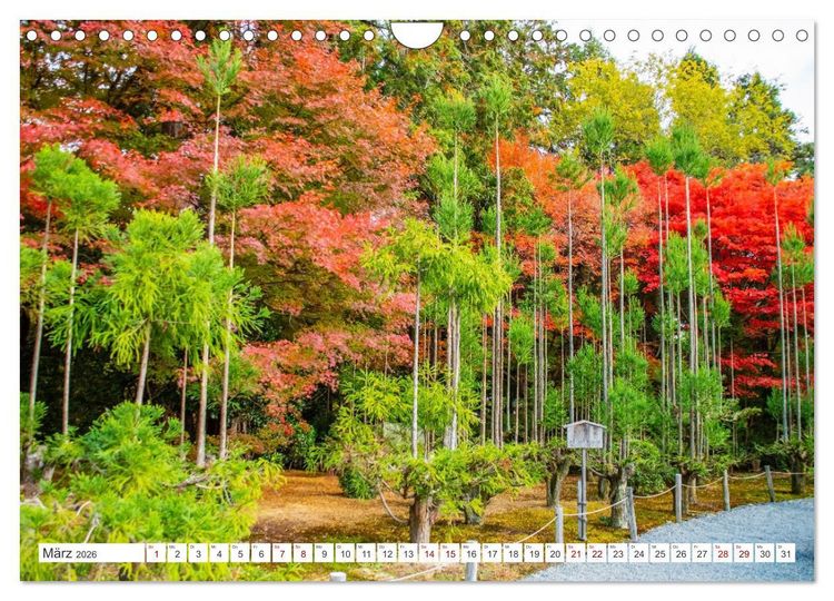 Produktbild: Herbst in Japan (Wandkalender 2026 DIN A4 quer), CALVENDO Monatskalender