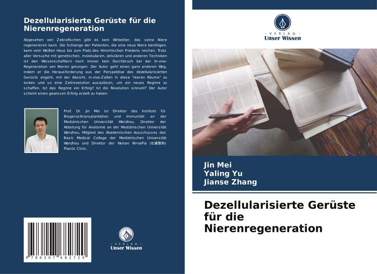 Produktbild: Dezellularisierte Ger&uuml;ste f&uuml;r die Nierenregeneration
