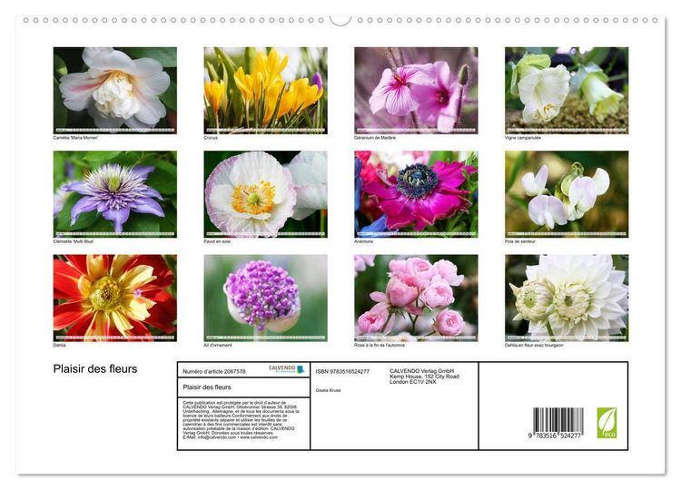 Produktbild: Plaisir des fleurs (Calendrier mural 2026 DIN A2 vertical) calendrier de bureau