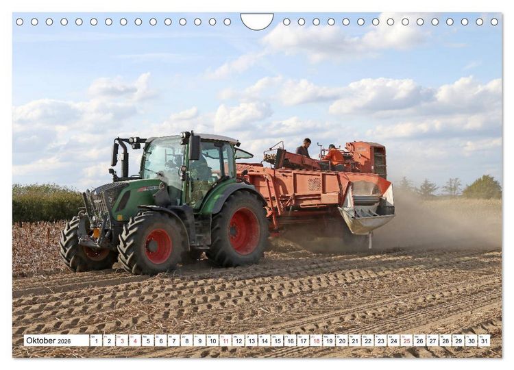 Produktbild: Kartoffel-Ernte - hautnah erleben (Wandkalender 2026 DIN A4 quer), CALVENDO Monatskalender