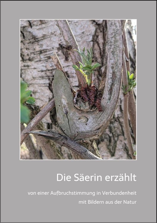 Produktbild: Die S&auml;erin erz&auml;hlt