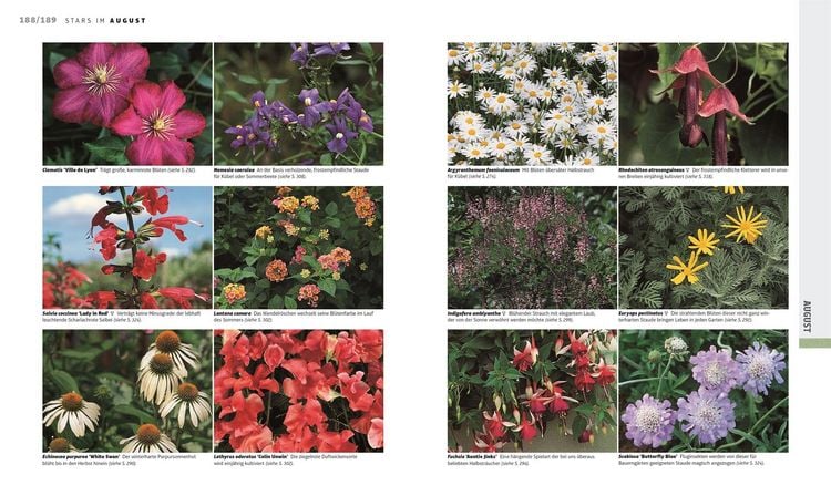 Produktbild: Das Gartenjahr