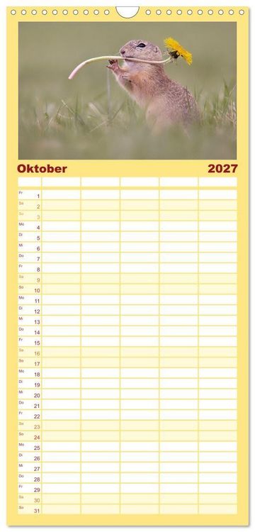 Produktbild: Familienplaner 2027 - Zauberhafte Ziesel mit 5 Spalten (Wandkalender, 21 x 45 cm) CALVENDO