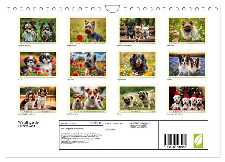Produktbild: Winzlinge der Hundewelt (Wandkalender 2026 DIN A4 quer), CALVENDO Monatskalender