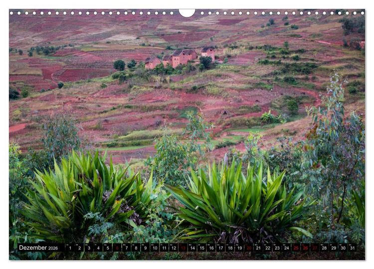 Produktbild: Madagaskar - Impressionen von Rolf Dietz (Wandkalender 2026 DIN A3 quer), CALVENDO Monatskalender