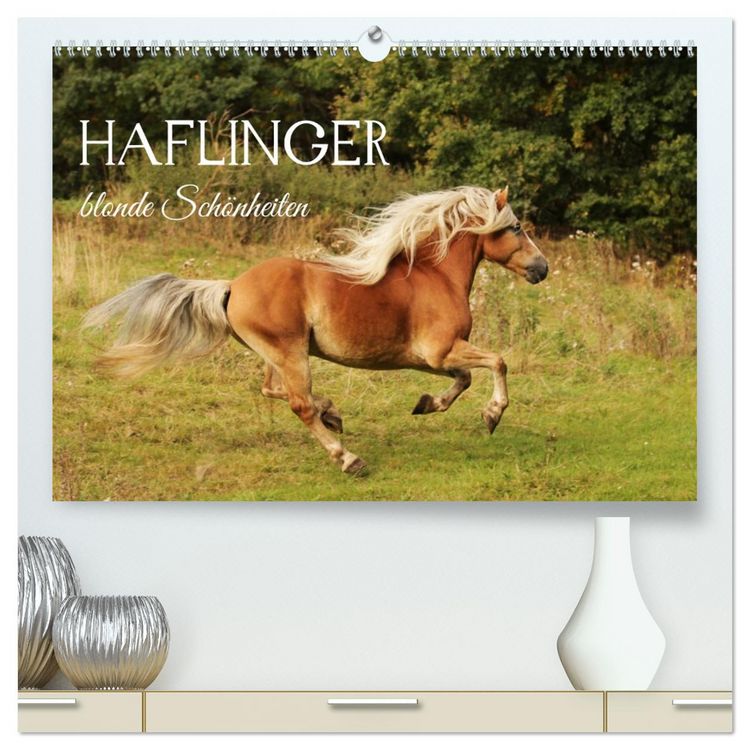 Produktbild: Haflinger - blonde Sch&ouml;nheiten (hochwertiger Premium Wandkalender 2027 DIN A2 quer), Kunstdruck in Hochglanz