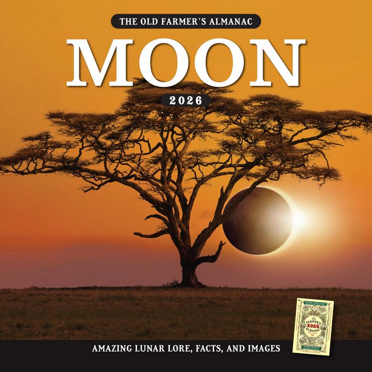 Produktbild: The 2026 Old Farmer's Almanac Moon Wall Calendar