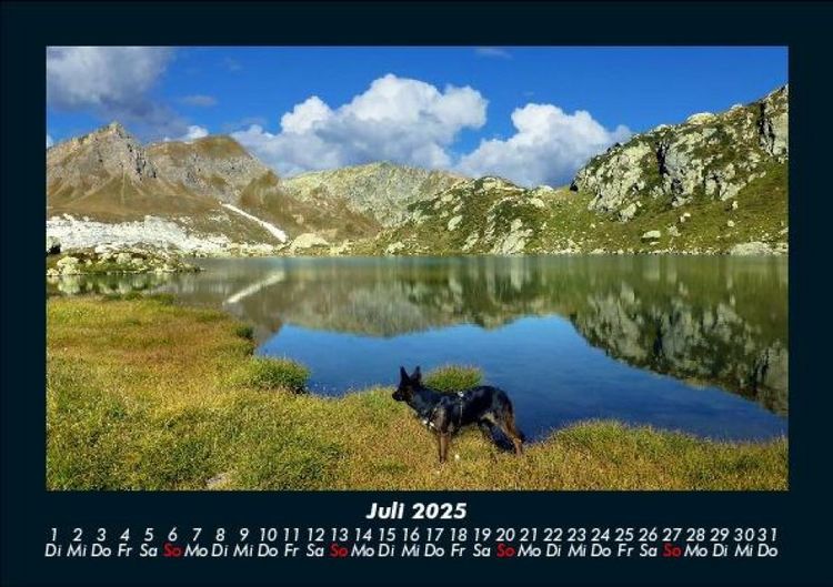 Produktbild: Tage am See 2025 Fotokalender DIN A5