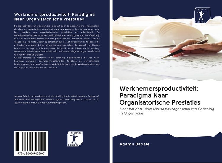 Produktbild: Werknemersproductiviteit: Paradigma Naar Organisatorische Prestaties