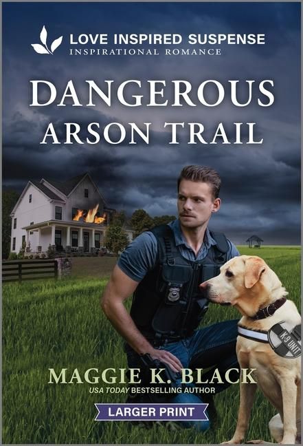 Produktbild: Dangerous Arson Trail