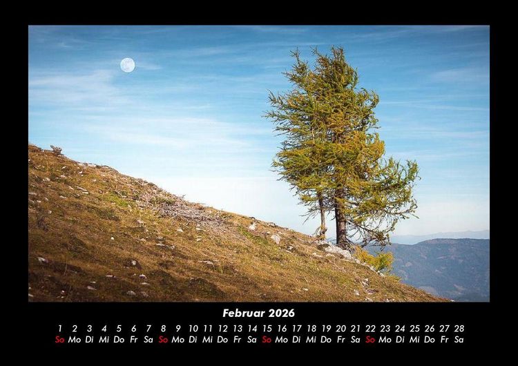 Produktbild: B&auml;ume 2026 Fotokalender DIN A3