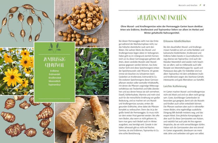 Produktbild: Gem&uuml;se forever!