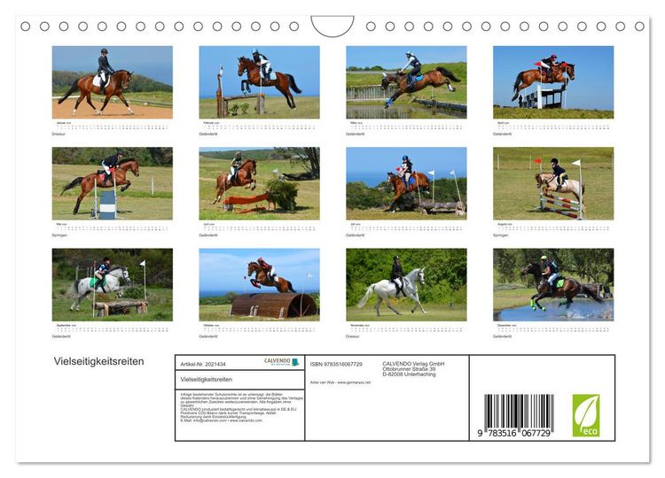 Produktbild: Vielseitigkeitsreiten (Wandkalender 2026 DIN A4 quer), CALVENDO Monatskalender