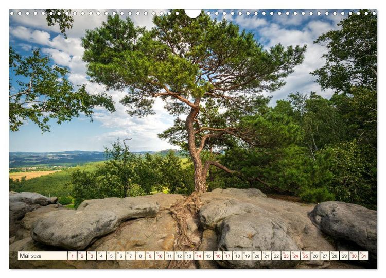Produktbild: Im Zauber der W&auml;lder (Wandkalender 2026 DIN A3 quer), CALVENDO Monatskalender