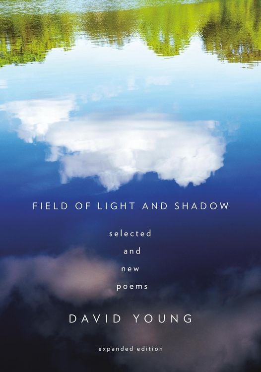 Produktbild: Field of Light and Shadow