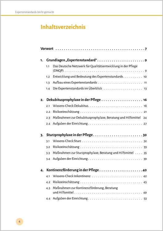 Produktbild: Expertenstandards leicht gemacht