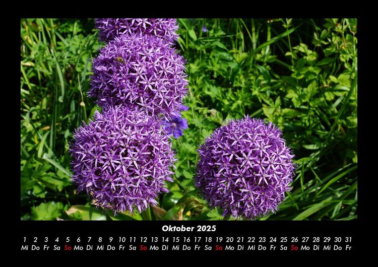 Produktbild: Blumenkalender 2025 Fotokalender DIN A3
