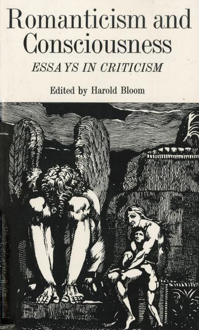 Produktbild: Romanticism and Consciousness