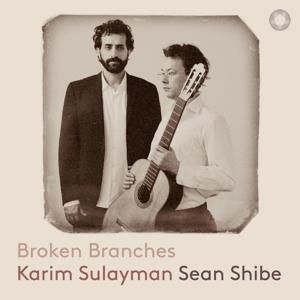 Produktbild: Broken Branches
