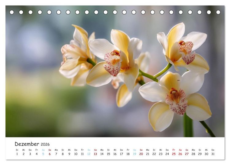 Produktbild: Im Schatten der Orchidee (Tischkalender 2026 DIN A5 quer), CALVENDO Monatskalender