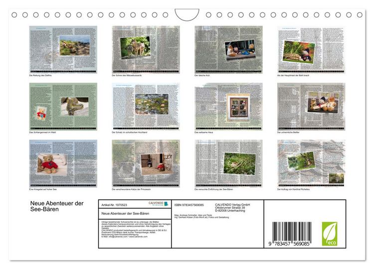 Produktbild: Neue Abenteuer der See-B&auml;ren (Wandkalender 2026 DIN A4 quer), CALVENDO Monatskalender